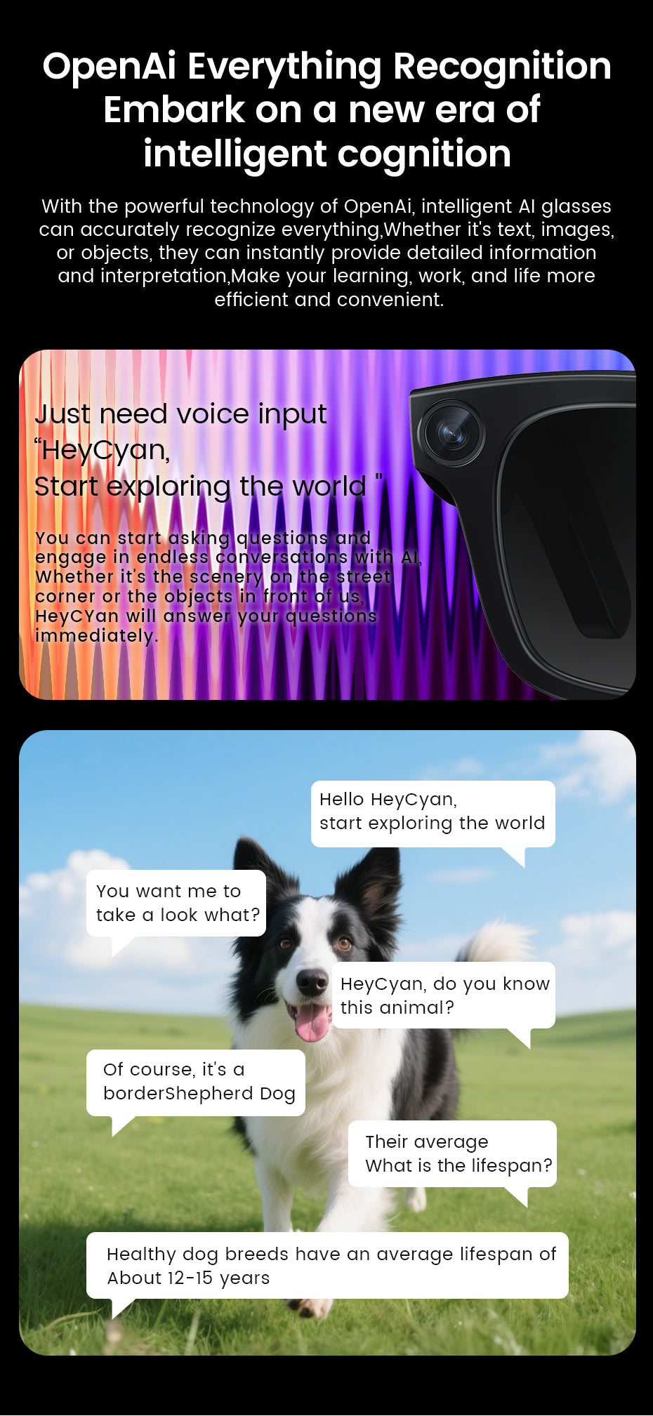 Just Tekk 3-in-1 AI Powered Smart Camera Sunglasses